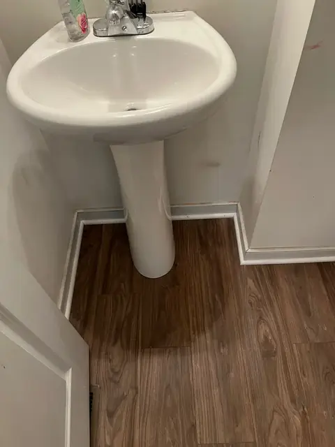Wood-look plank flooring around a pedestal sink