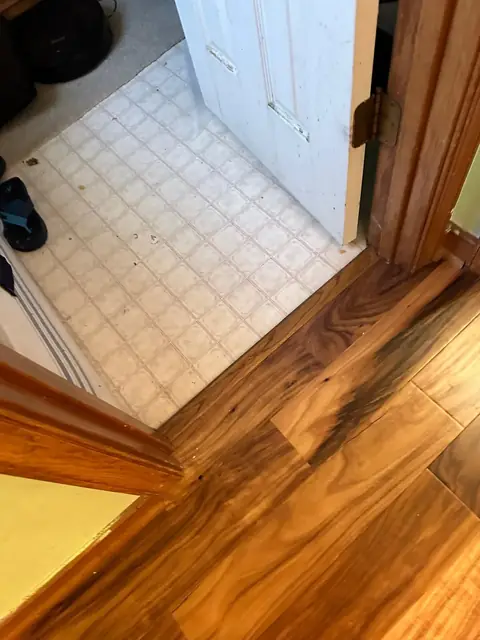 Wood flooring transition at a bathroom doorway