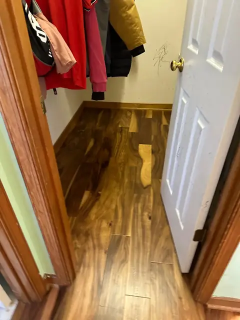 Wood flooring in a mudroom